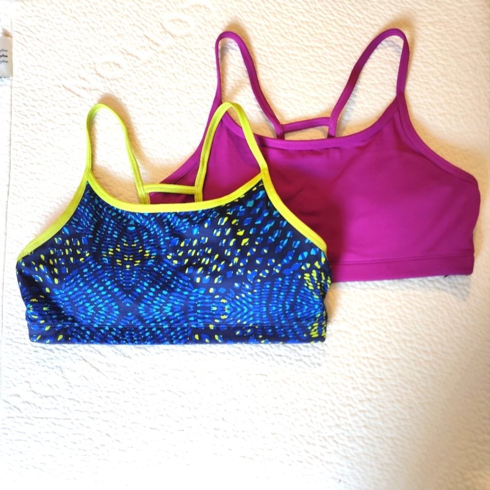 Fabletics Ayni Sports Bra Duo